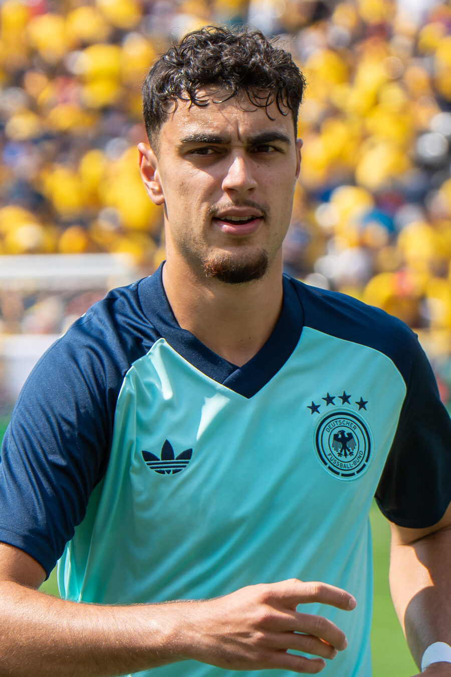 Aleksandar Pavlović